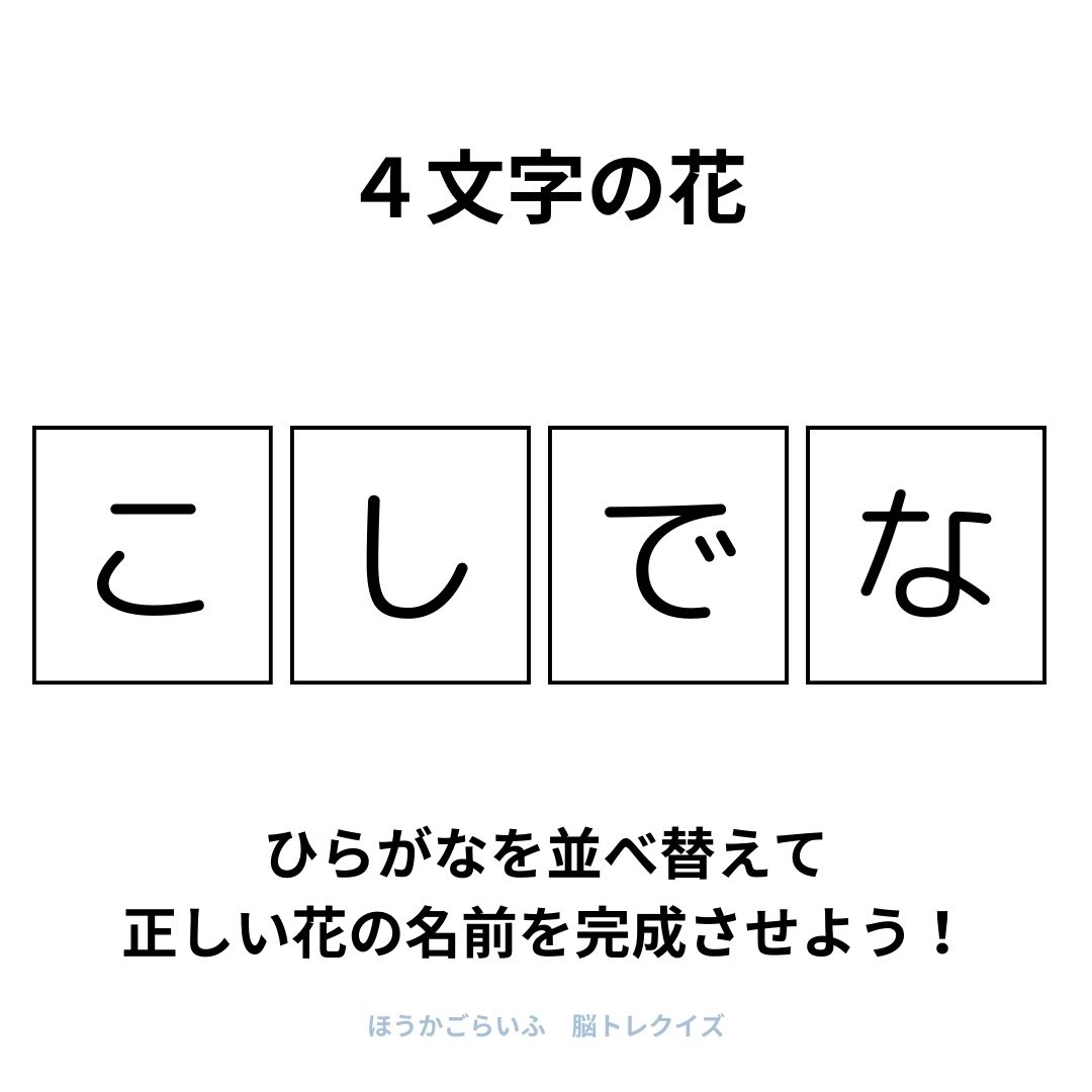 高齢者向け（無料）言葉の並び替えで脳トレしよう！文字（ひらがな）を並び替える簡単なゲーム【花の名前】健康寿命を延ばす鍵